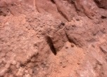 Slick Rocks -- Remaining blasting hole on the Slick Rocks trail. Lamont Crabtree Photo